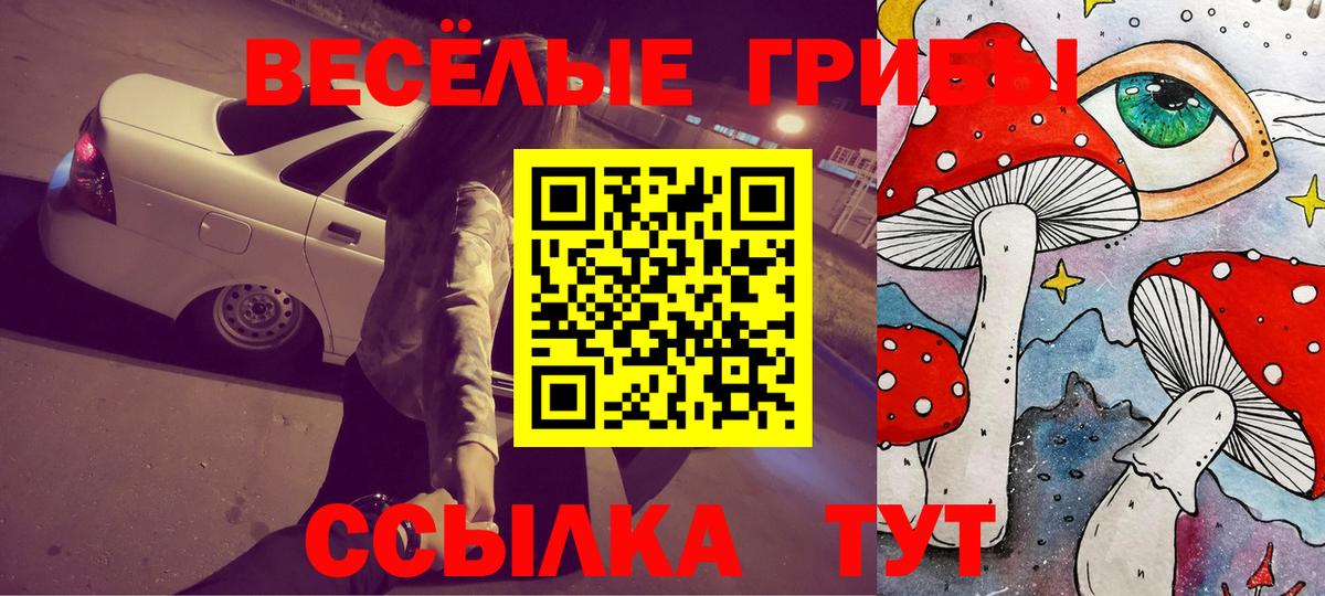 Волгодонск  Галлюциногенные грибы ЛСД  Вход с VPN 